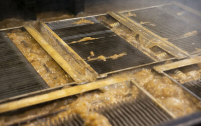 Should I Outsource the Cleaning of Electrostatic Cells?